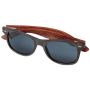 Gafas de sol 
