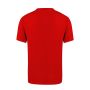 Camiseta Adulto Color Seiyo