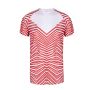 Camiseta Técnica Adulto Tingyi