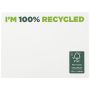 Notas adhesivas recicladas 100 x 75 mm 