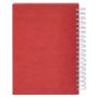 Agenda Wayrux