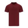 Polo de adulto color Chaplin