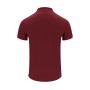 Polo de adulto color Chaplin