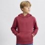 Sudadera Infantil Draco