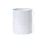 Taza Impex