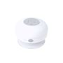 Altavoz Rariax