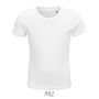 CAMISETA SOL'S CRUSADER NIÑOS