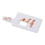 Tarjeta de crédito. Memoria USB 4GB