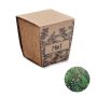 Kit de cultivo de semillas de menta