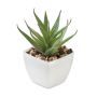Mini planta artificial