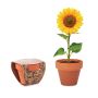 Vaso de terracota 'girasol'