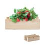 Kit de fresas caja de madera