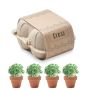 Kit de cultivo en caja de huevos