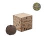 Kit de cultivo de bombas de semillas