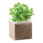 Compost semillas 