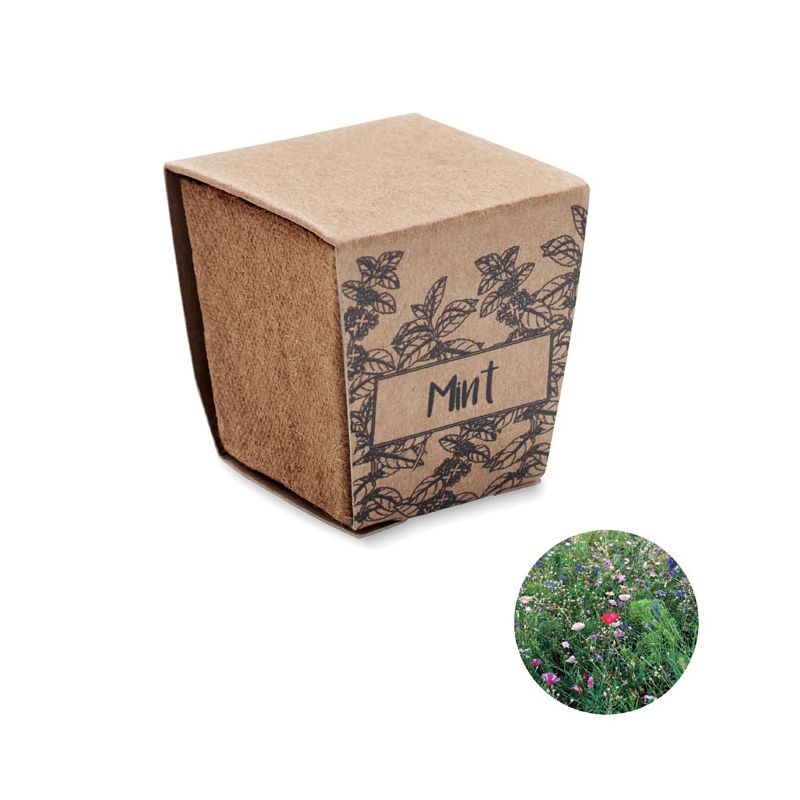 Kit de cultivo de semillas de menta
