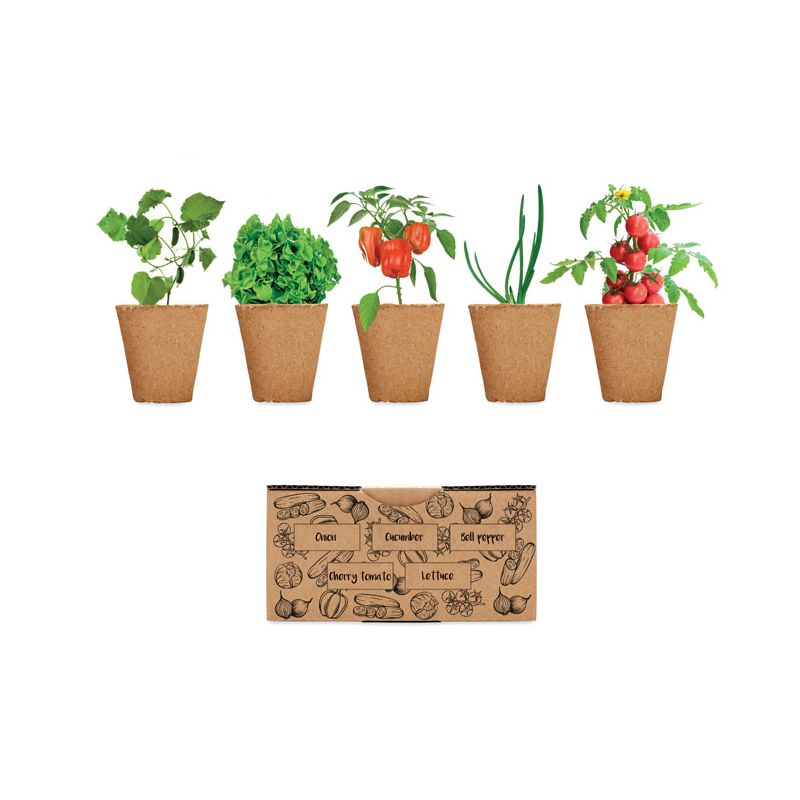 Kit de cultivo de ensaladas