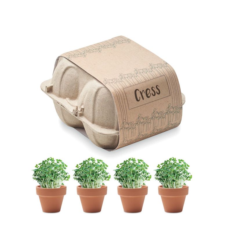 Kit de cultivo en caja de huevos