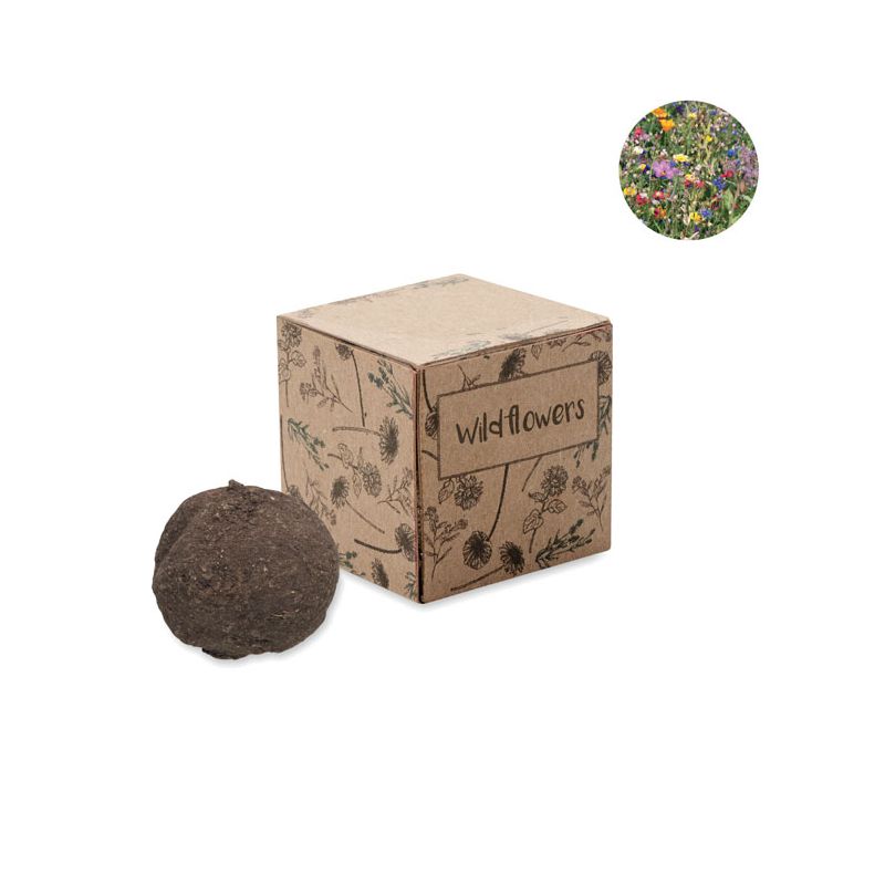 Kit de cultivo de bombas de semillas