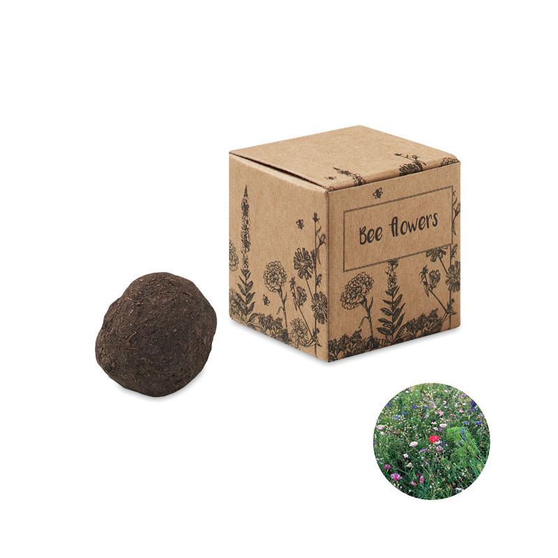 Kit de semillas flor de abeja