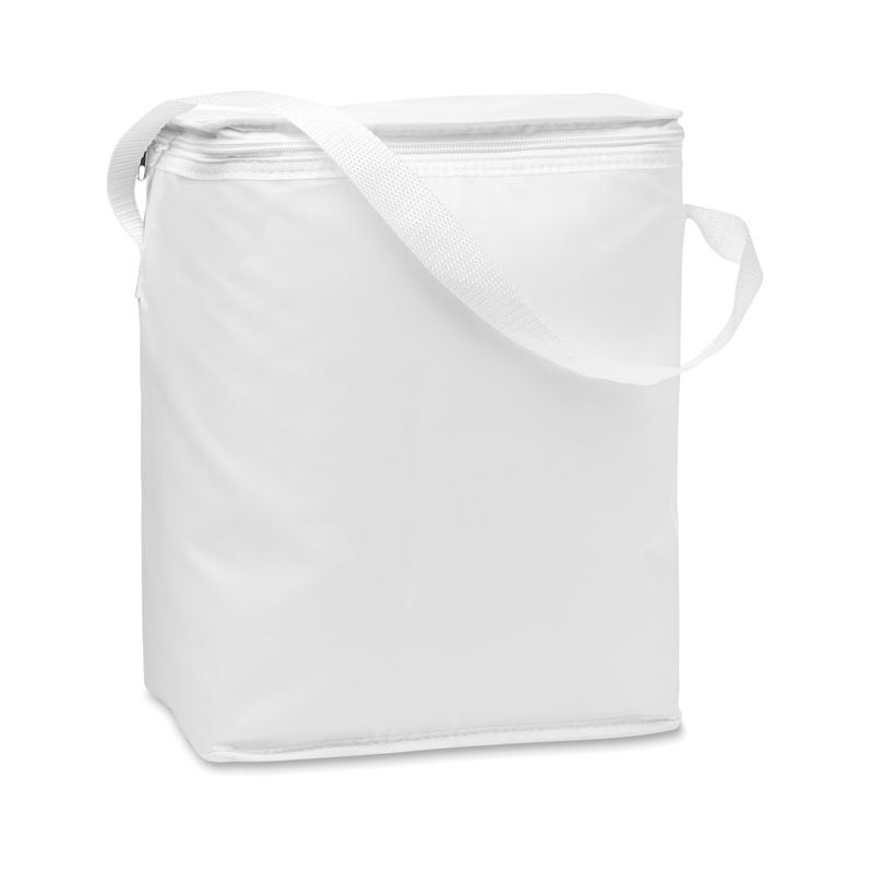 Cooler bag for bottles