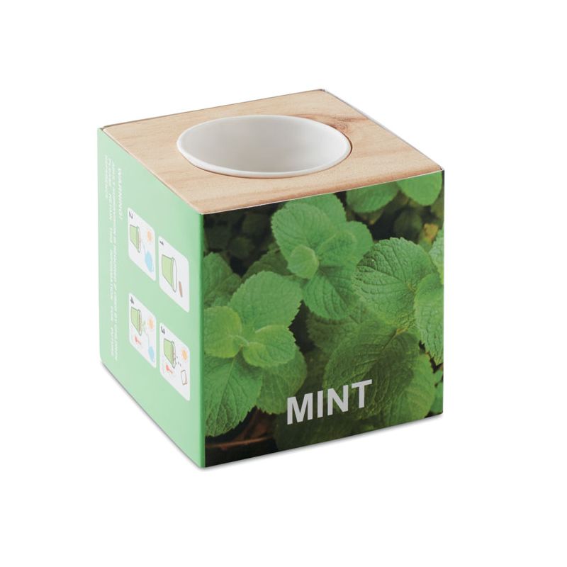 Portasemillas Menta