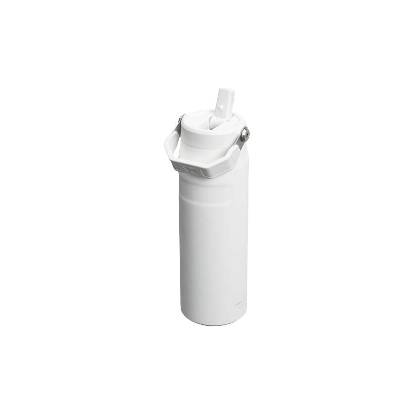 Botella de agua de 700 ml con pajita retráctil 