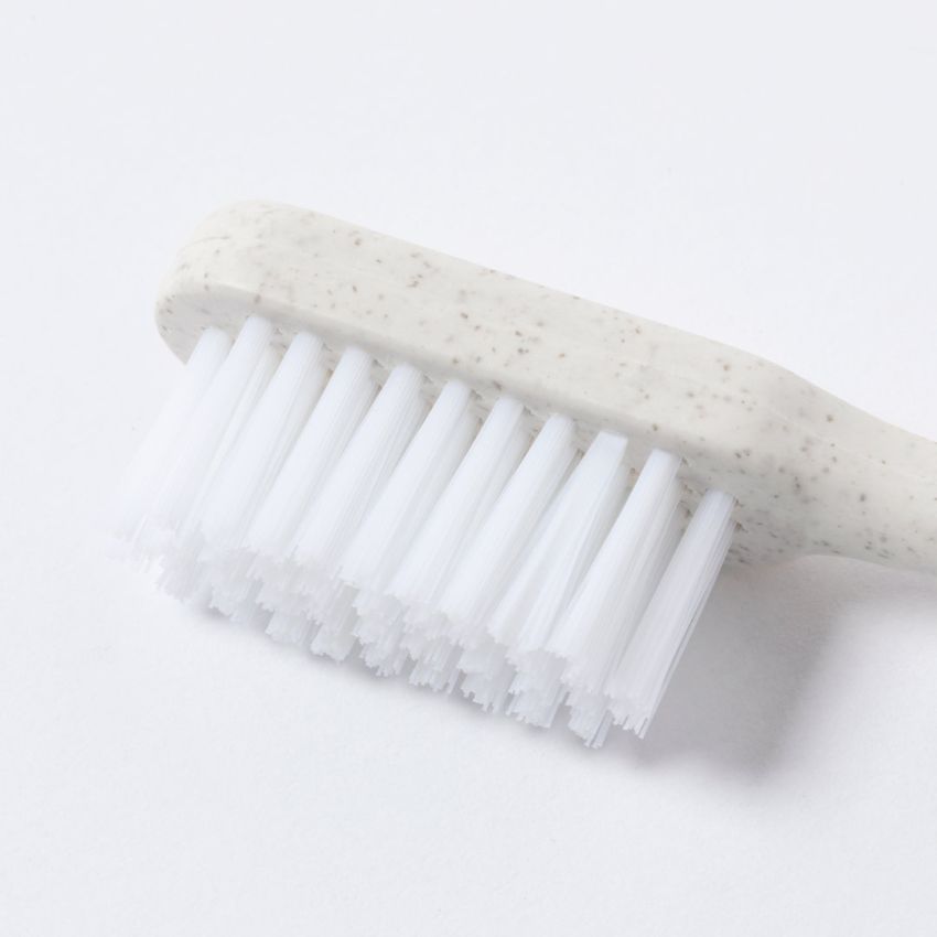 Cepillo de Dientes Duncan