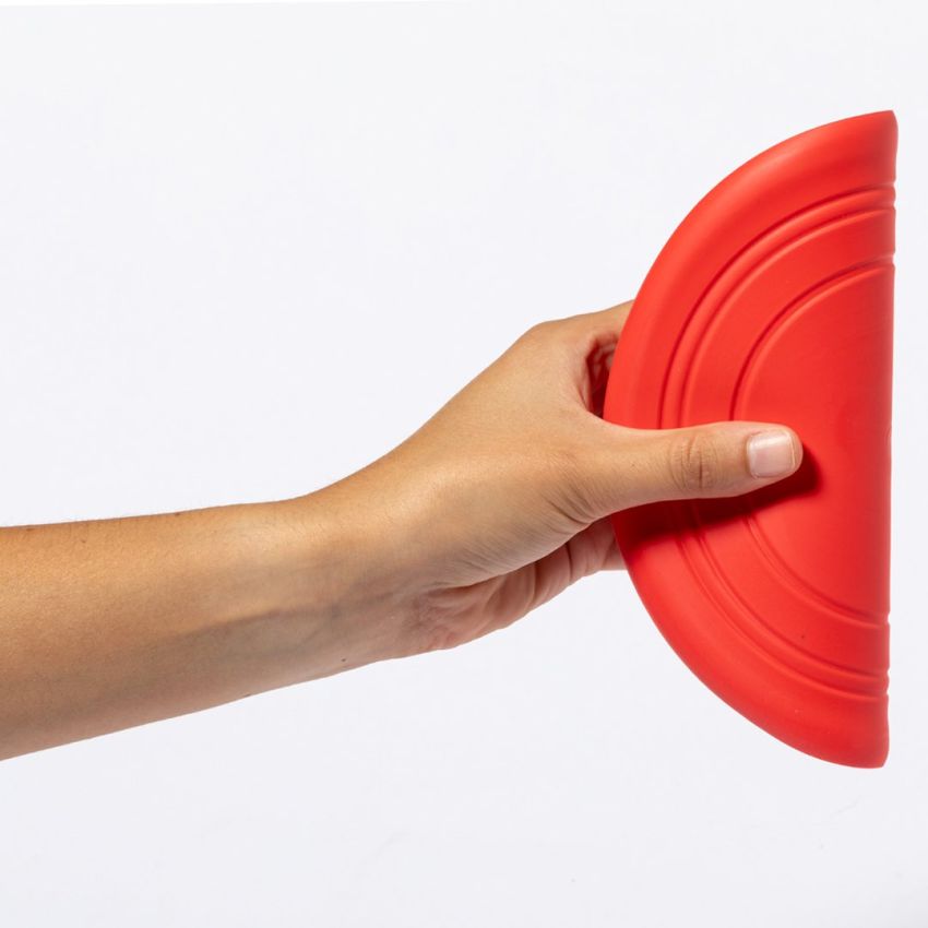 Girud Frisbee