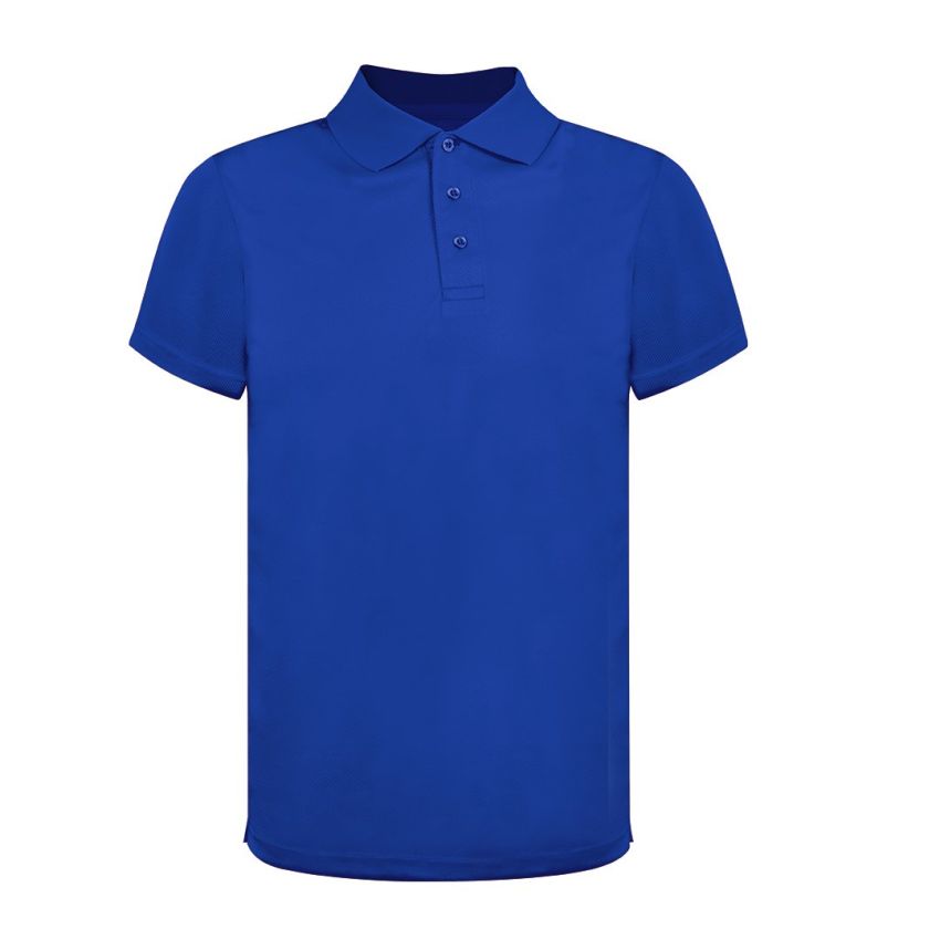 Polo Técnico Ratlam