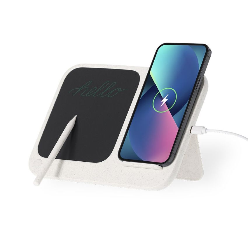 Cargador Tablet Escritura LCD Ártico
