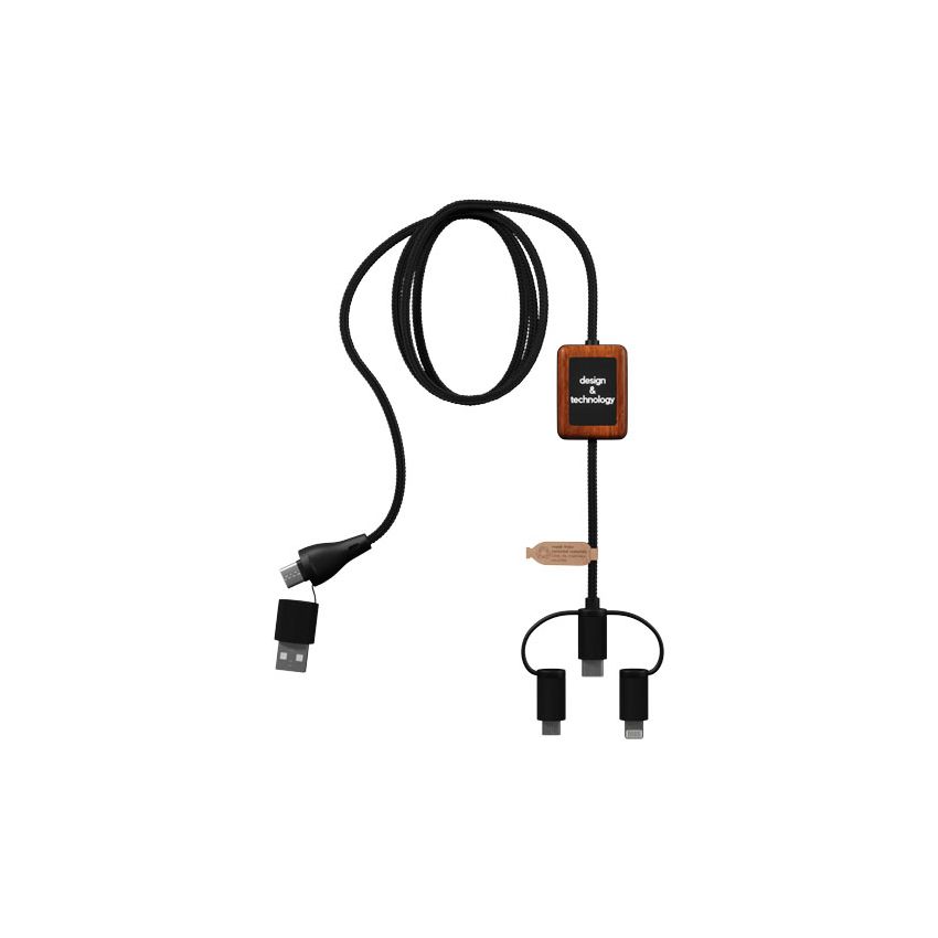 Cable 5-en-1 