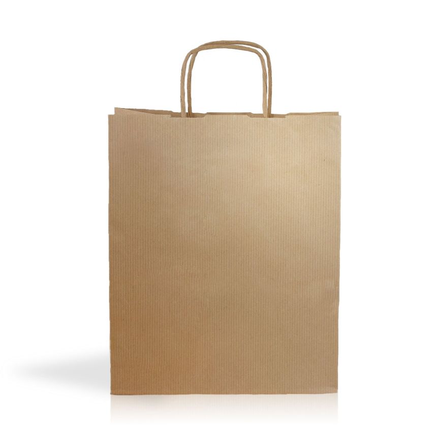 Kraft04 Bolsa de papel kraft 90g/m2 22X27X10cm