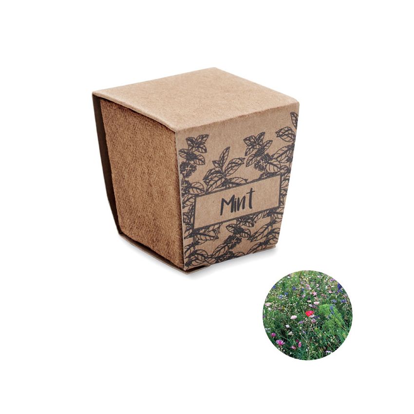 Kit de cultivo de semillas de menta