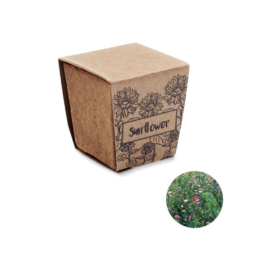 Kit de cultivo de girasol