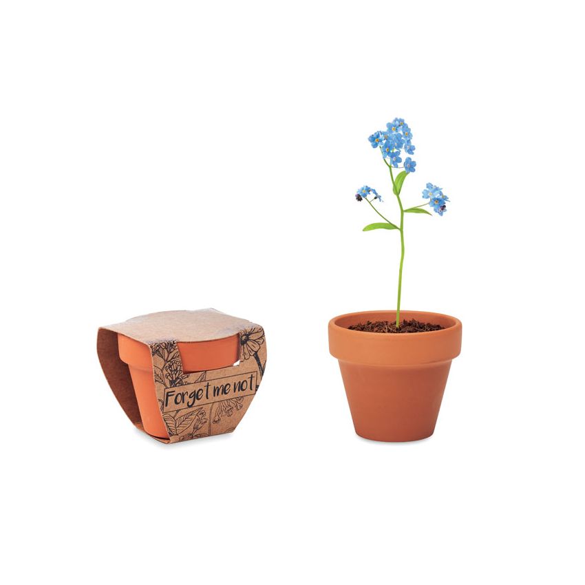 Vaso de terracota 'nomeolvides'