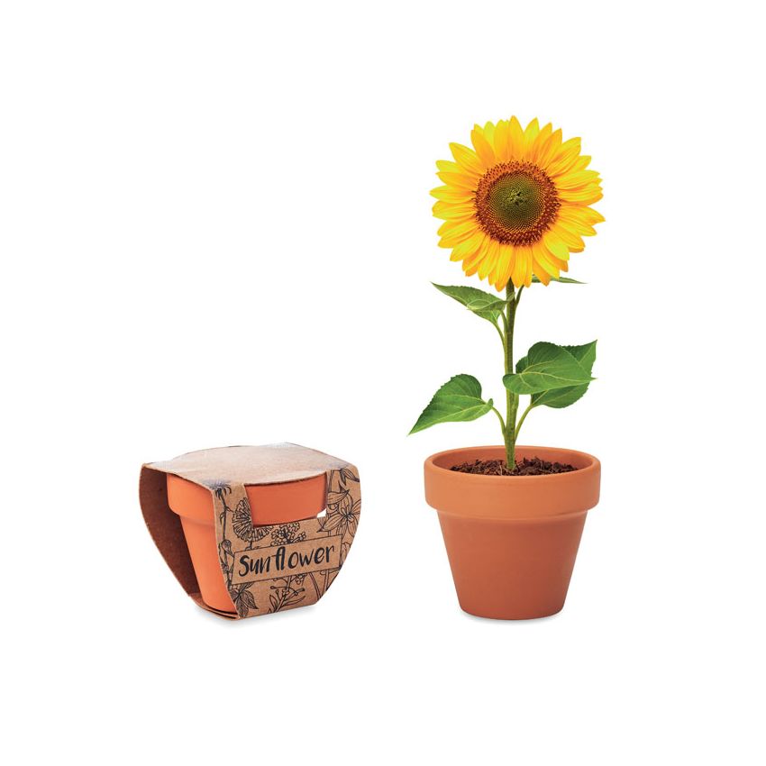 Vaso de terracota 'girasol'