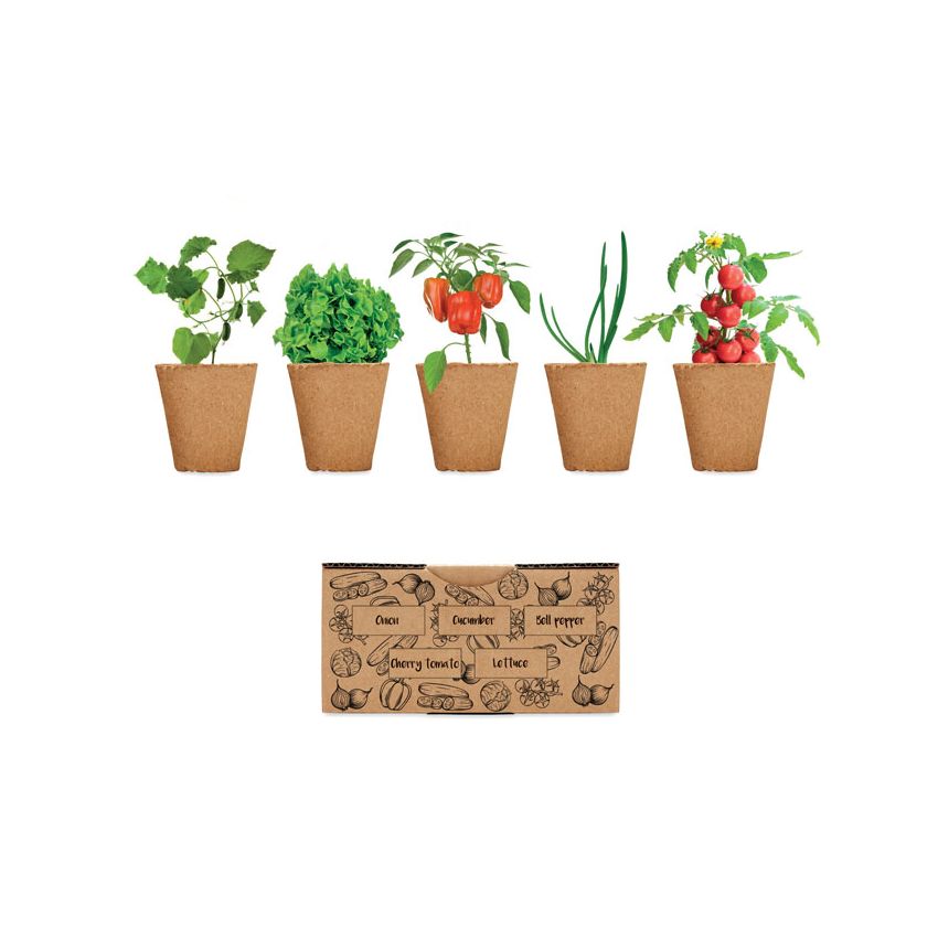 Kit de cultivo de ensaladas