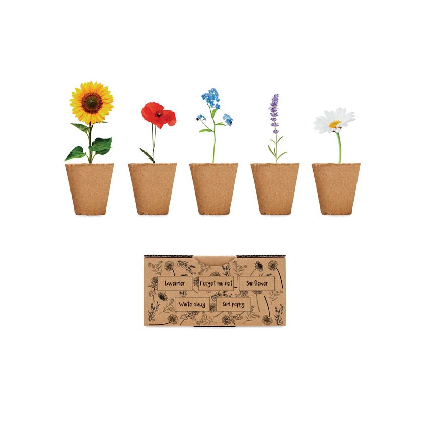 Kit de cultivo de flores