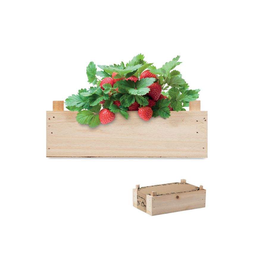 Kit de fresas caja de madera