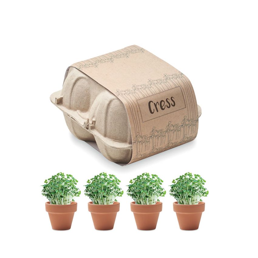 Kit de cultivo en caja de huevos