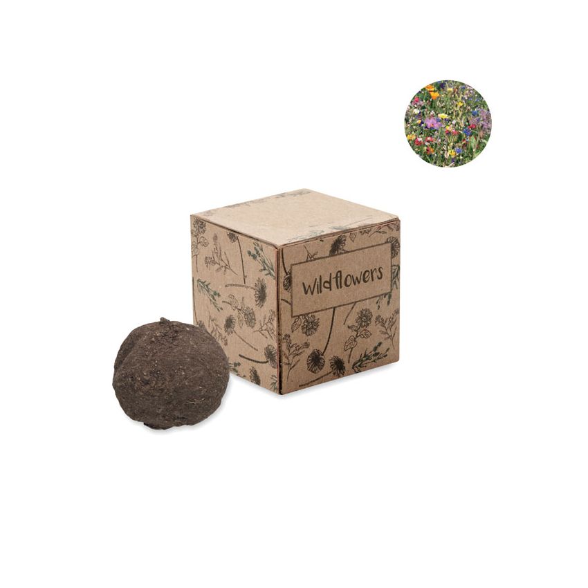 Kit de cultivo de bombas de semillas