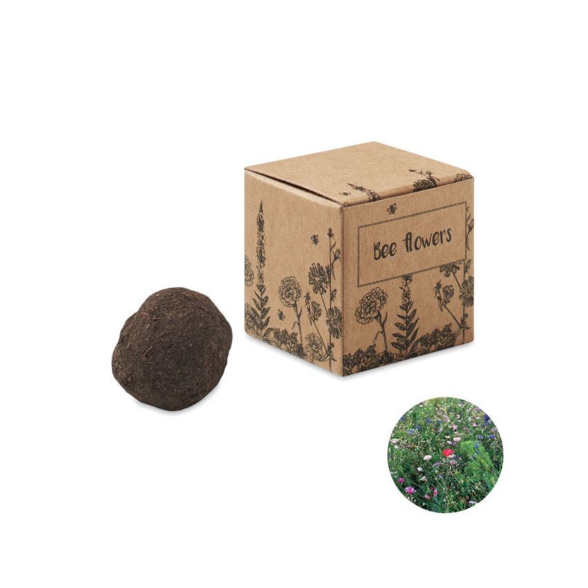 Kit de semillas flor de abeja