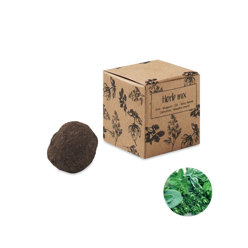 Kit de semillas de hierbas