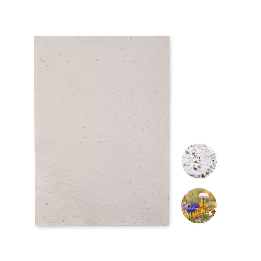 Papel de semillas de flores A4