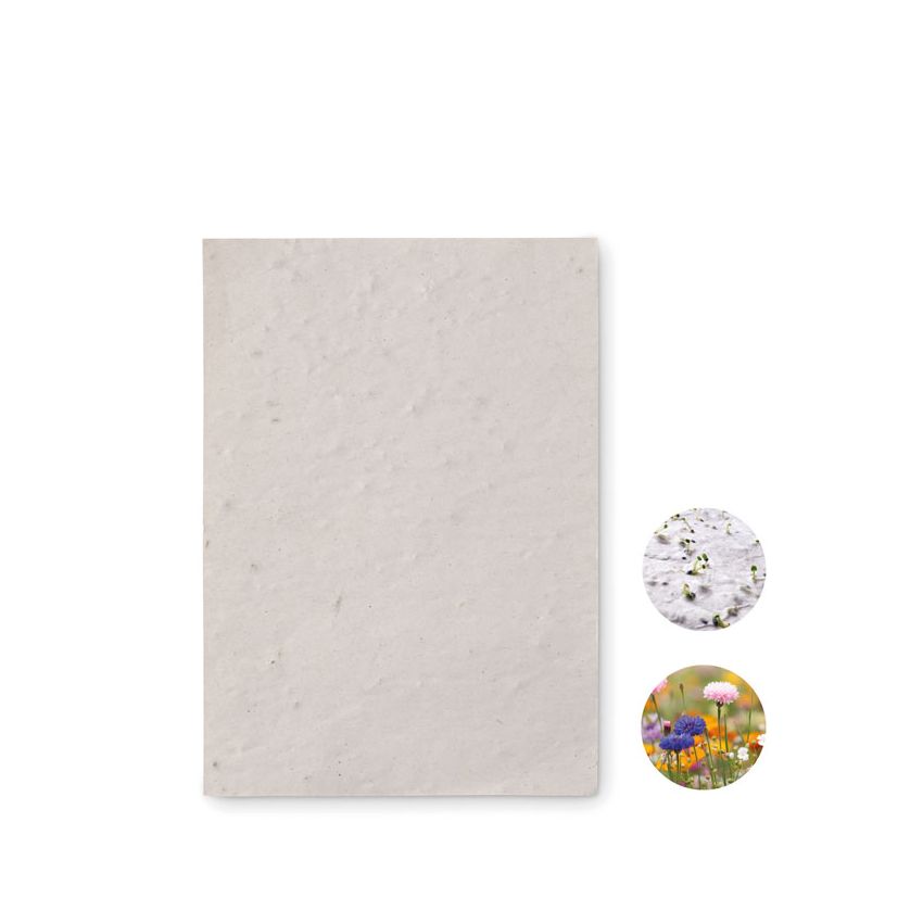 Papel de semillas de flores A6