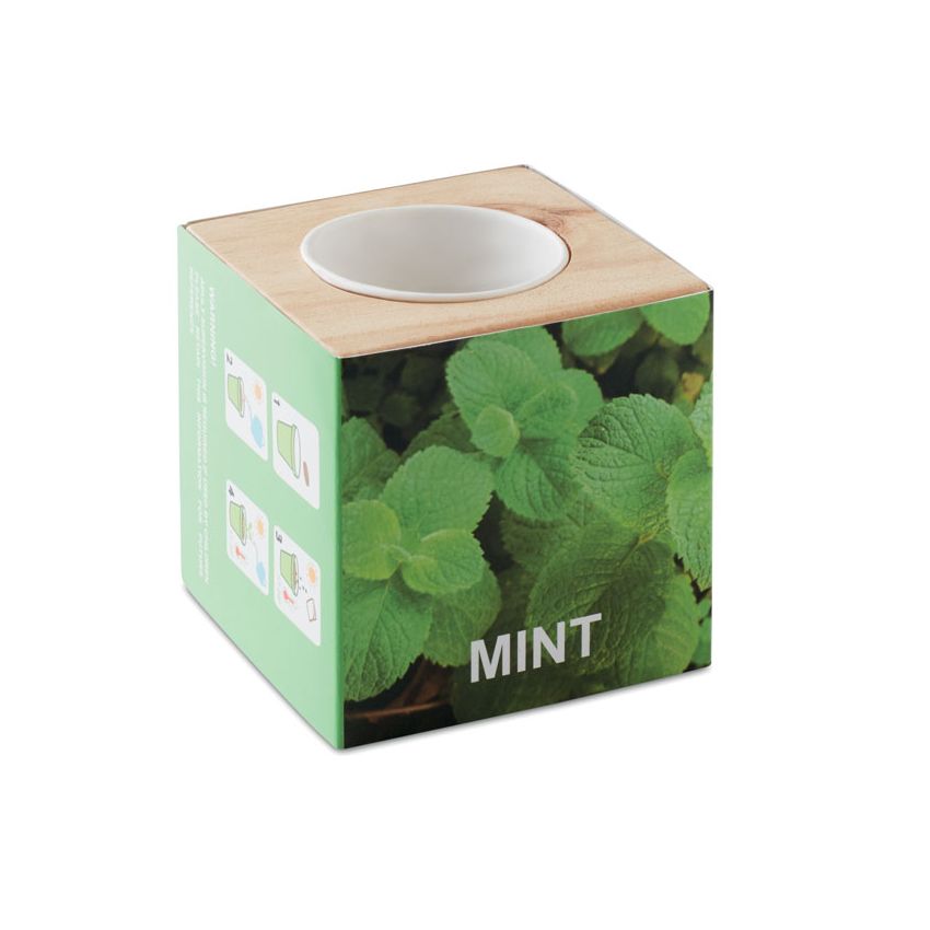 Portasemillas Menta