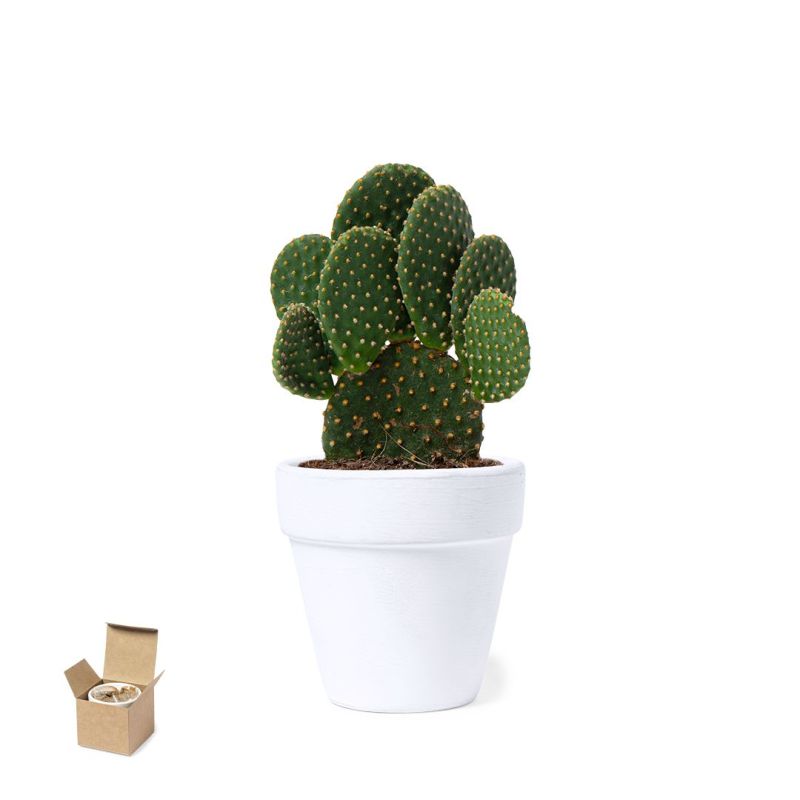 Vaso Contenedor