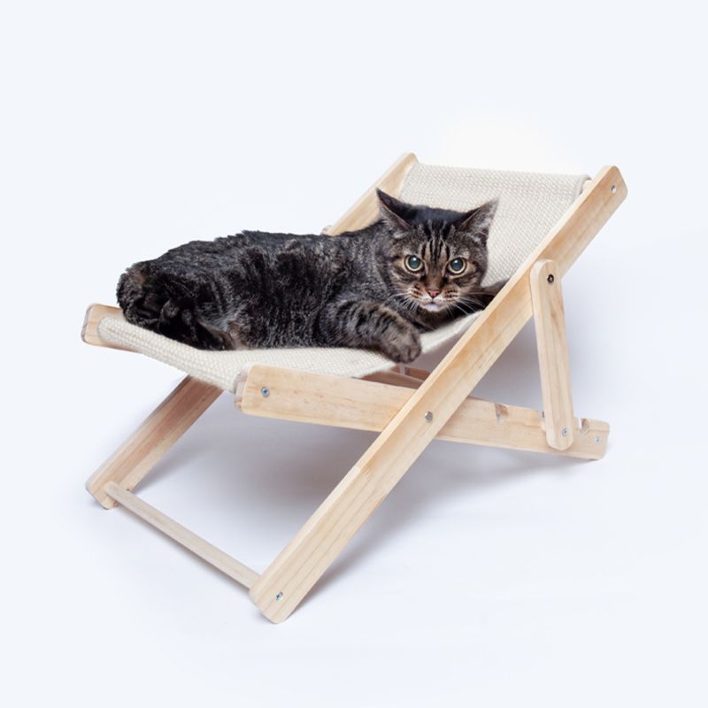Silla para Mascotas Diny