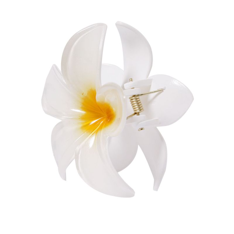 Pinza para el Cabello Tixcon
